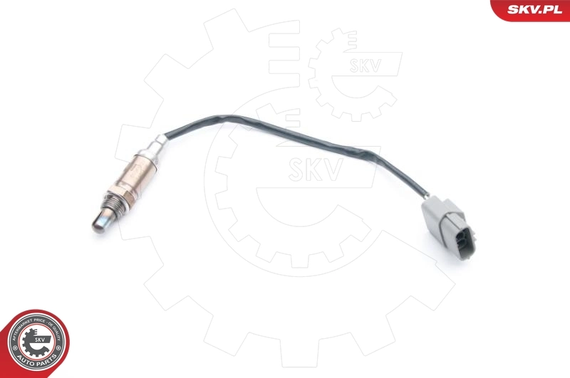 Oxygen Sensor